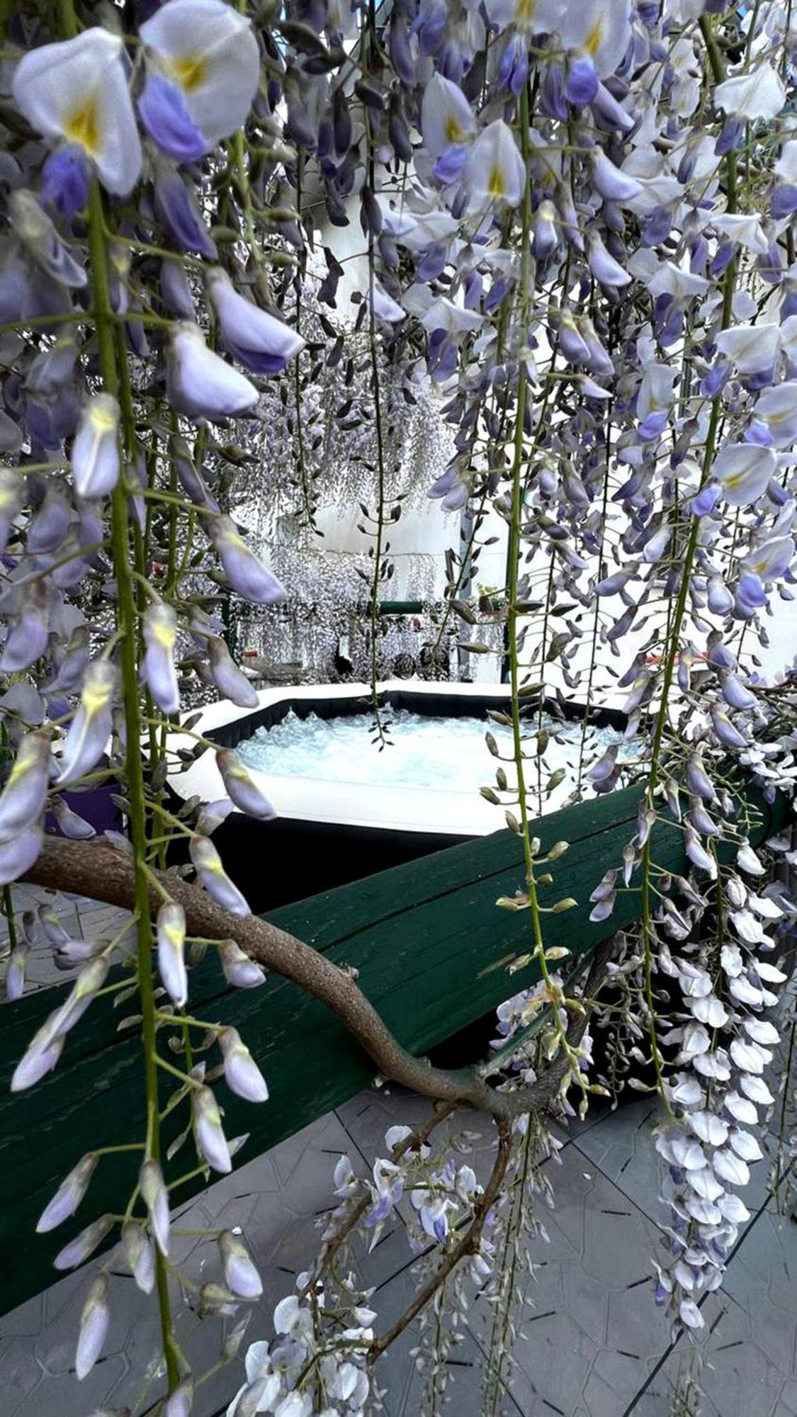 Gan Eden B&B San Benedetto Del Querceto Bagian luar foto